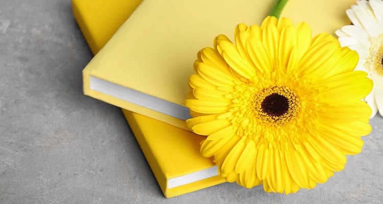 career coaching services